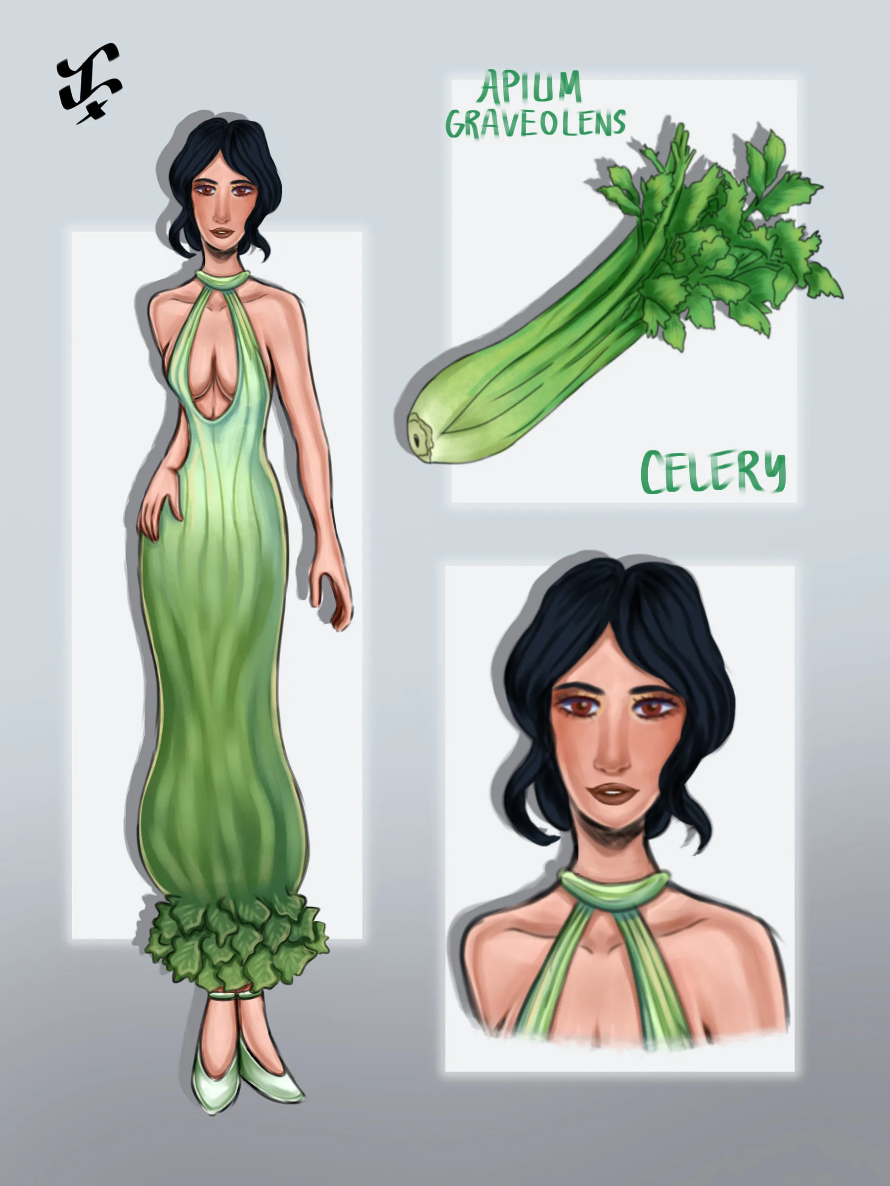 A fashion sheet for celery: a model in a long, ribbed pale-green halter gown, beside a bunch of celery labelled Apium graveolens and a close-up of her face.