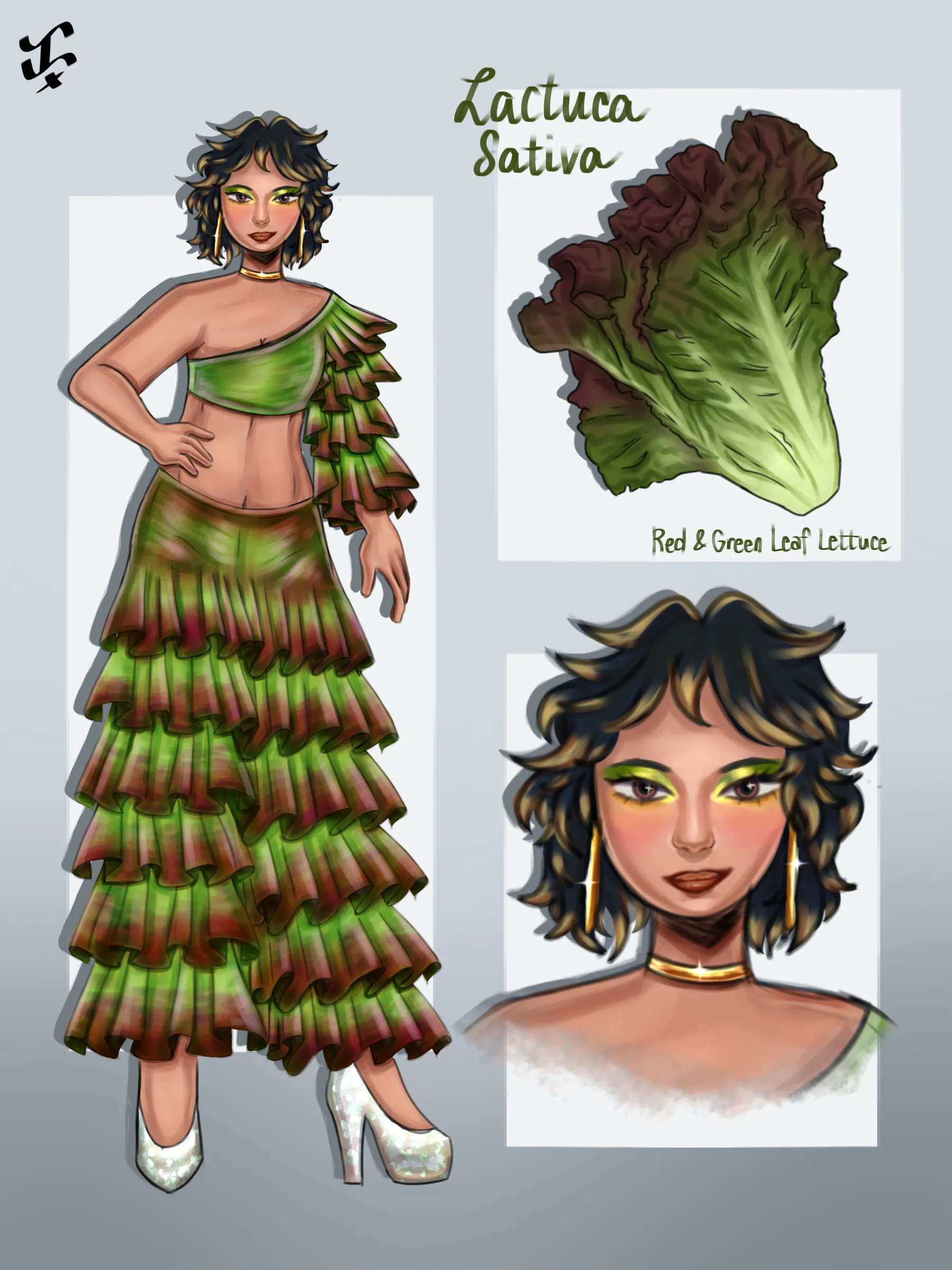 A fashion sheet for red and green leaf lettuce: a model in a tiered, ruffled red-and-green skirt and crop top, beside a head of lettuce labelled Lactuca sativa and a close-up of her face.
