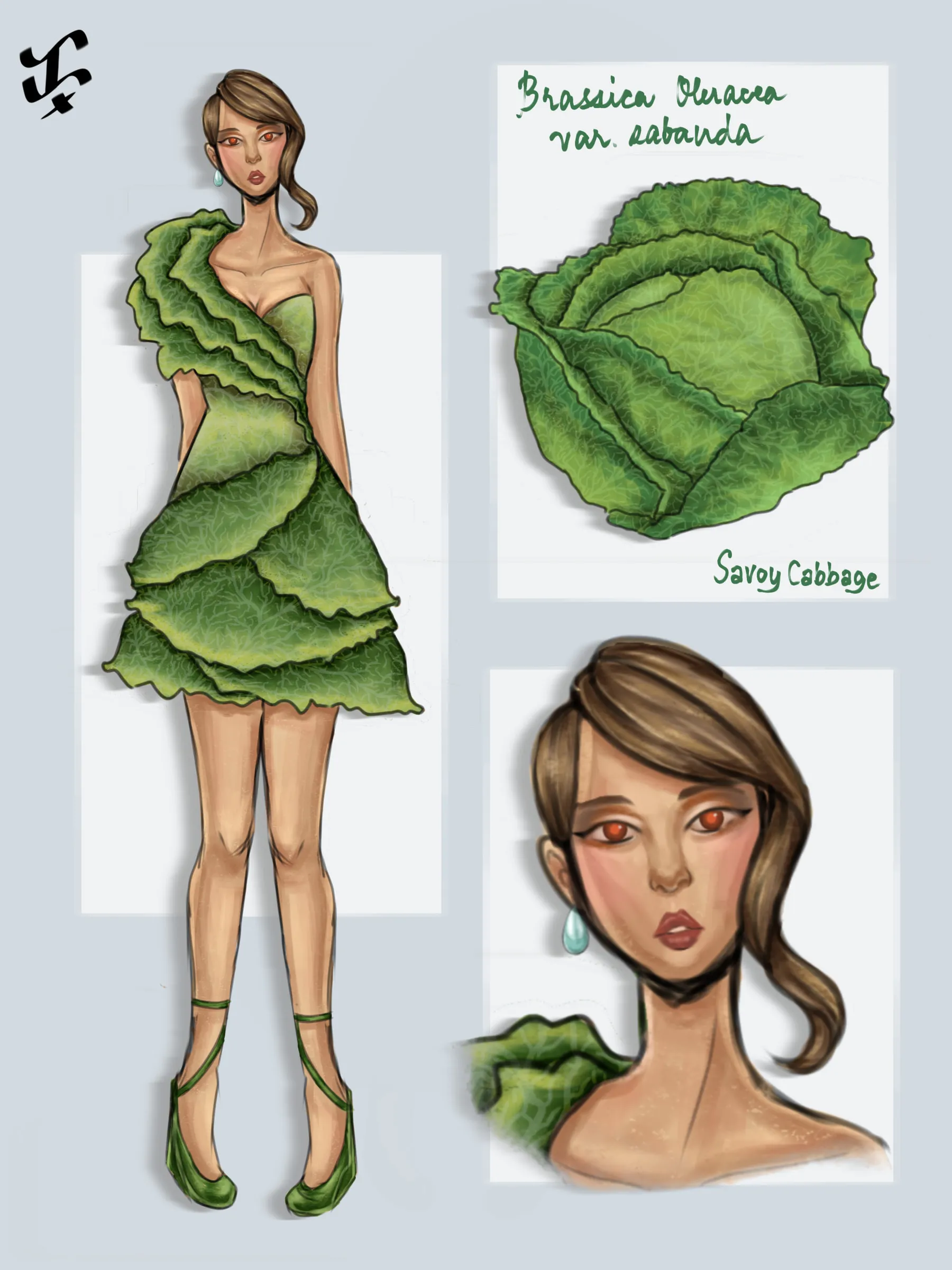 A fashion sheet for savoy cabbage: a model in a short dress of crinkled green cabbage leaves, beside a savoy cabbage labelled Brassica oleracea var. sabauda and a close-up of her face.
